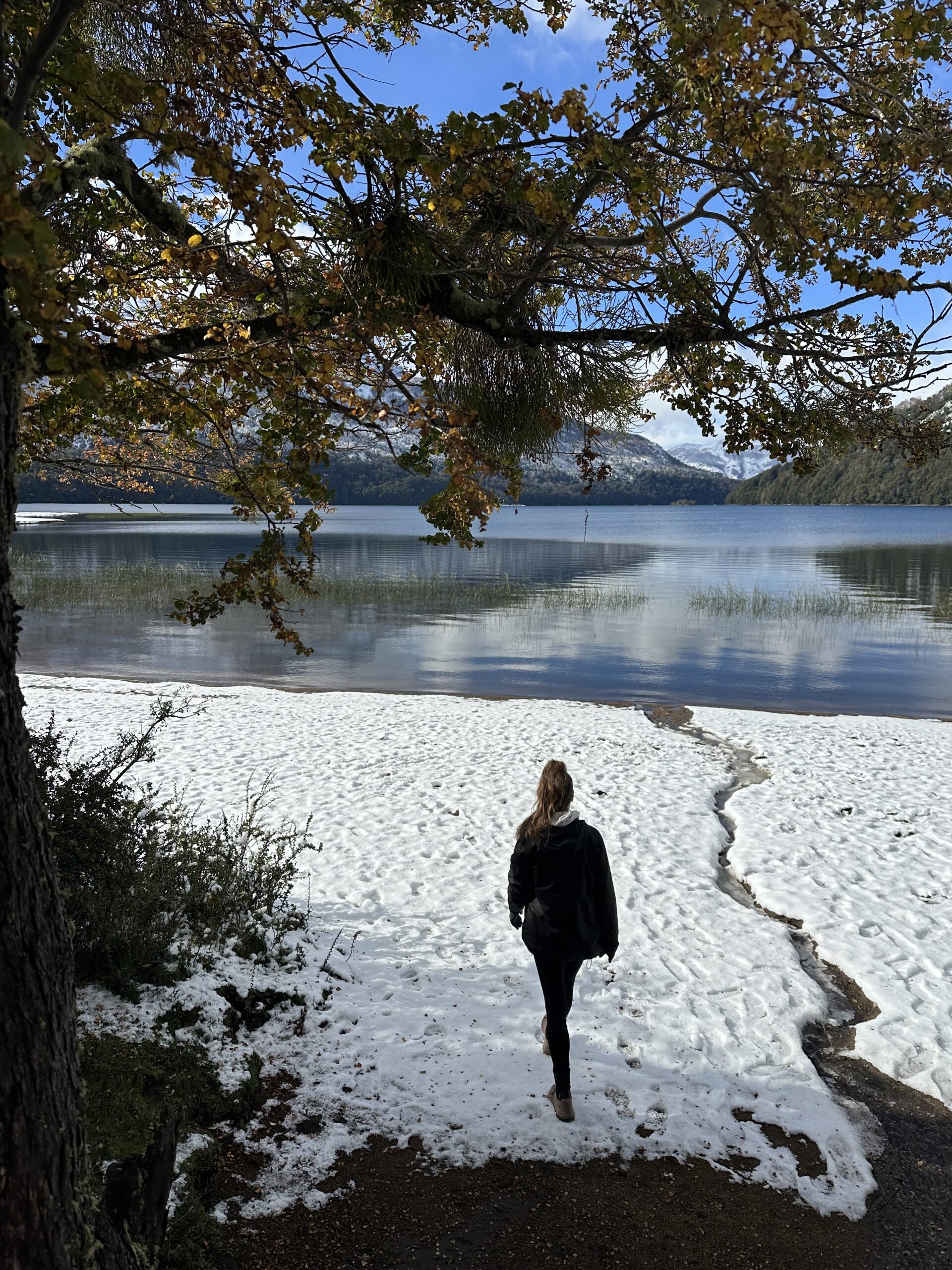 Saunter in the Snow, Lago Falkner